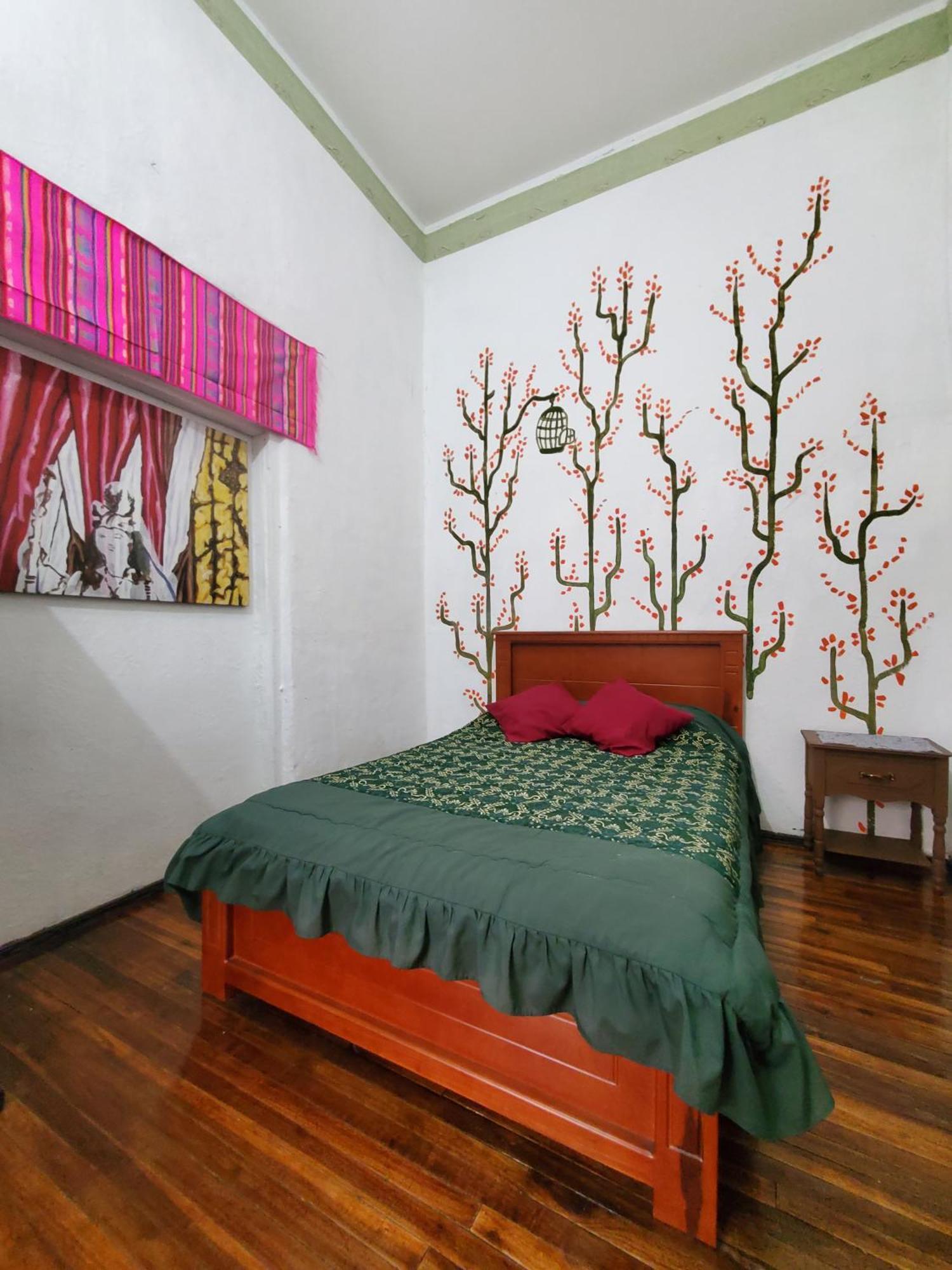 San Marcos Cultural & Guesthouse キト エクステリア 写真