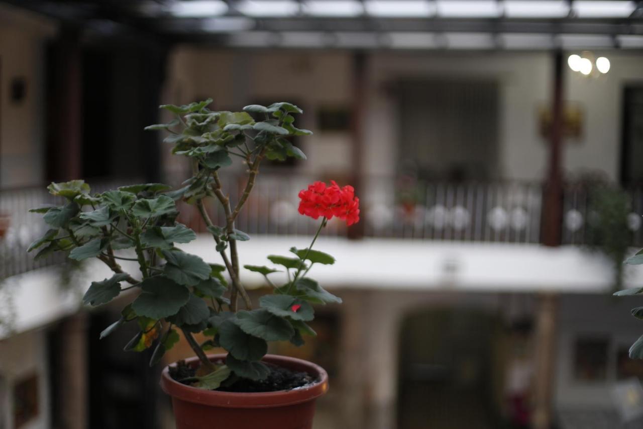 San Marcos Cultural & Guesthouse キト エクステリア 写真
